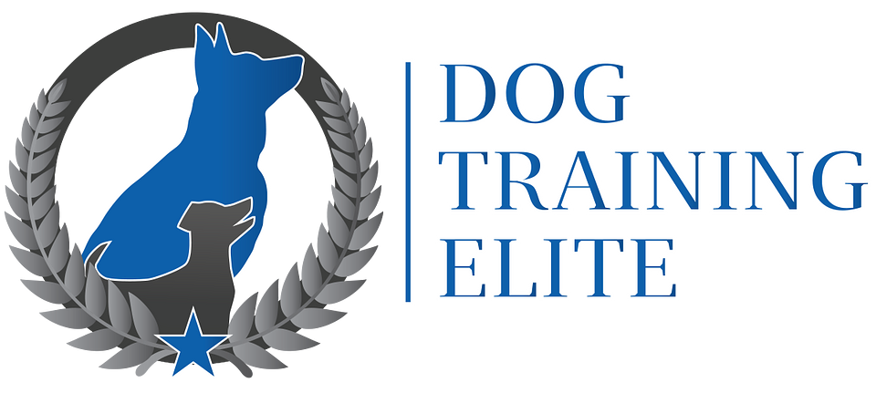 Dog Training Elite