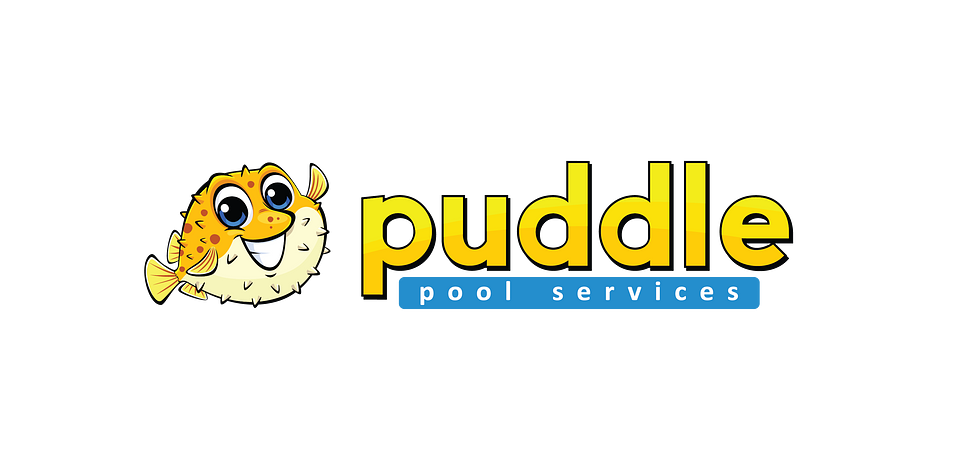 Puddle Pool Services